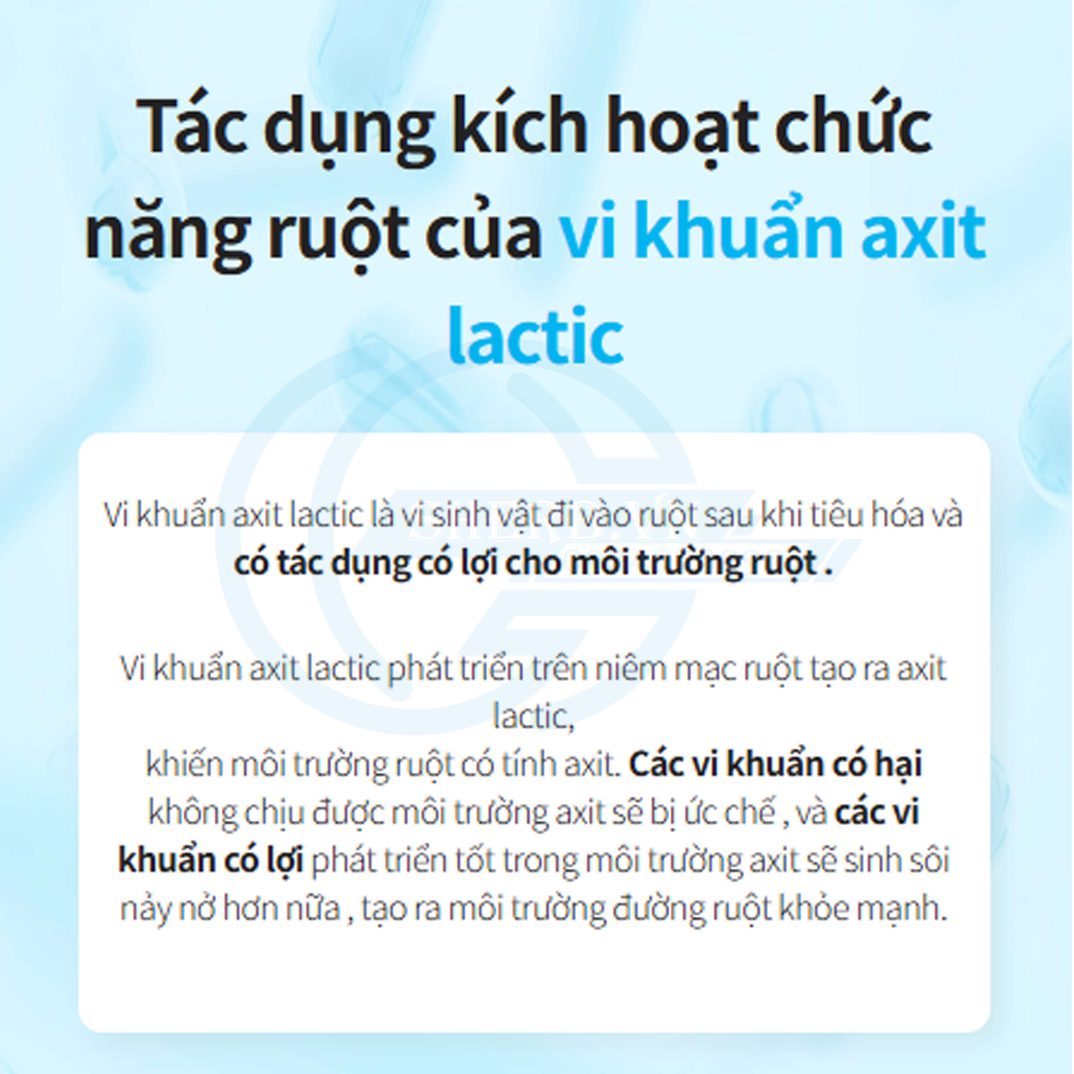 [SHERB] Men Vi Sinh Atomy Probiotics 10+