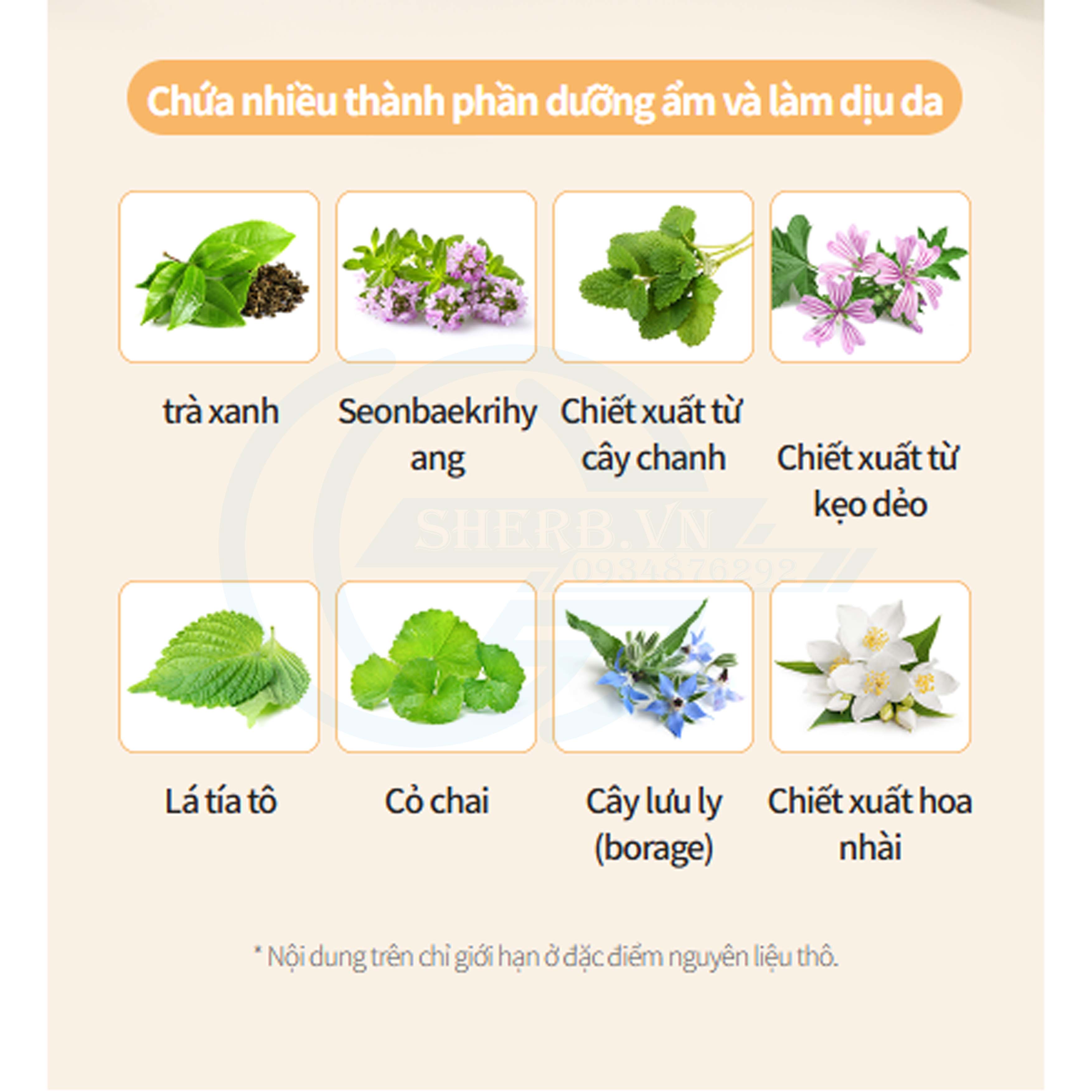 [SHERB] Kem Chống Nắng Atomy Sunscreen SPF 50+++ Tone Da