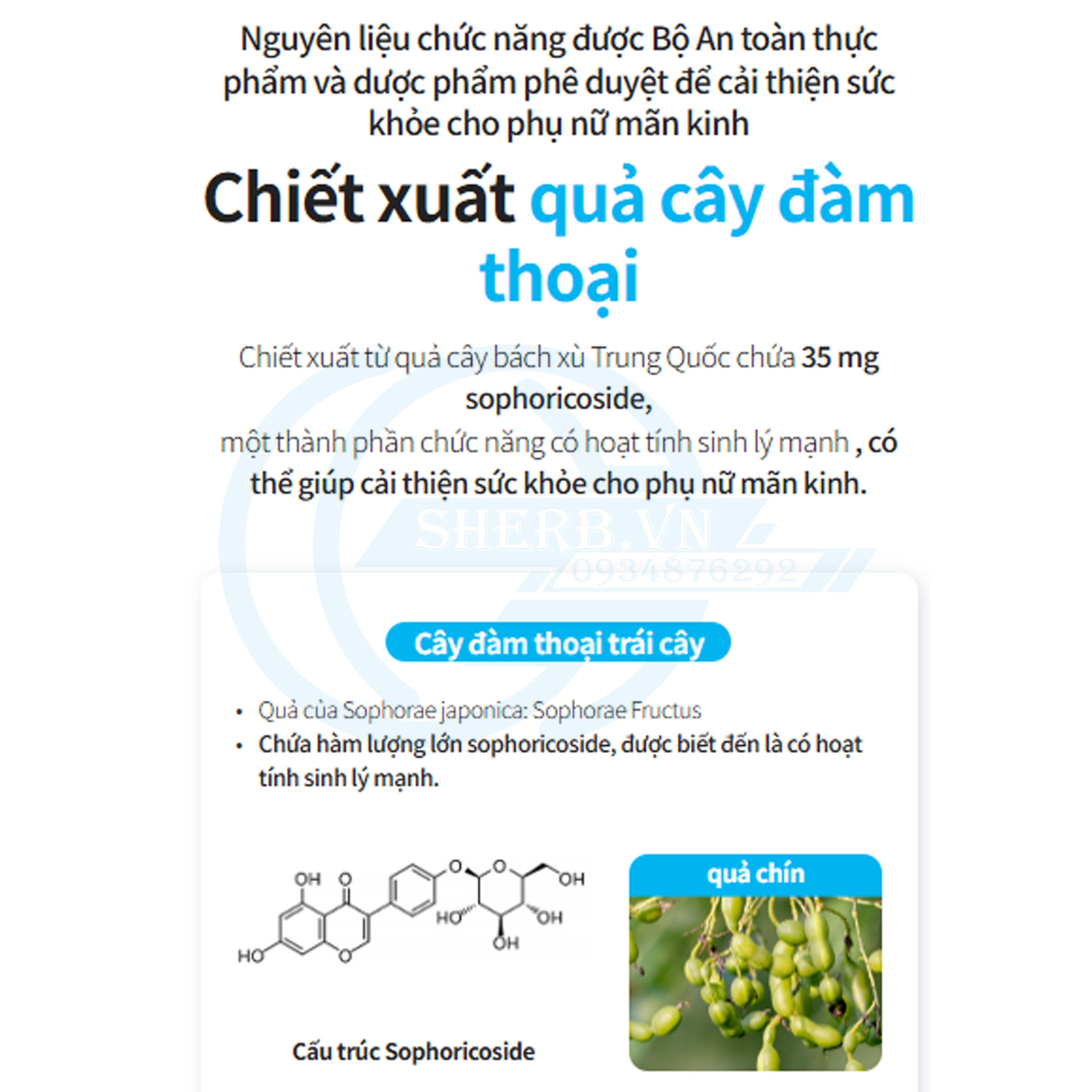 [SHERB] Viên nội tiết tố Atomy Sophora Queen/ 120 viên