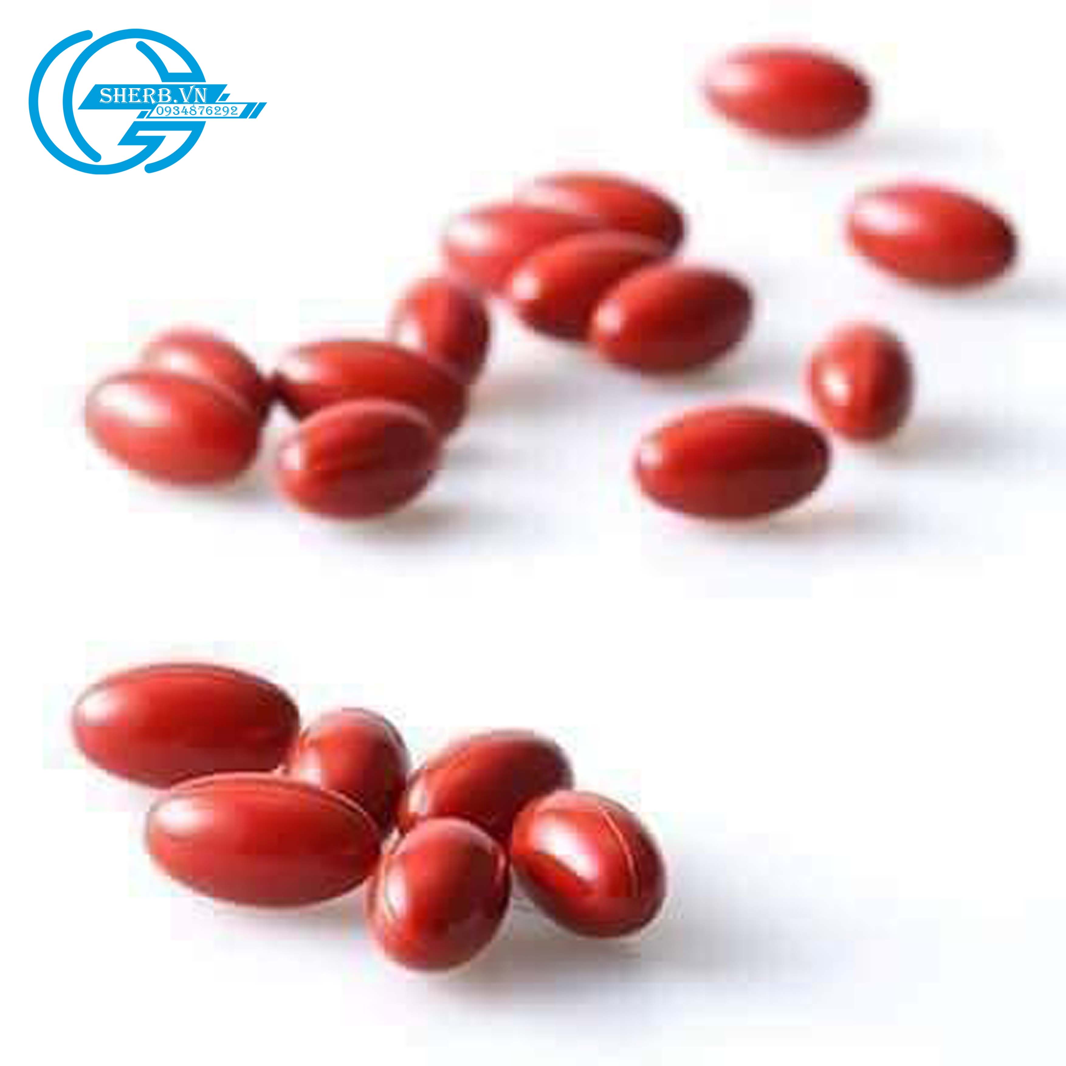 [SHERB] Viên nội tiết tố Atomy Sophora Queen/ 120 viên