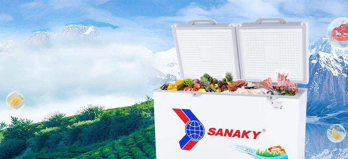 Tủ Đông SANAKY 305 Lít VH‑4099A2KD