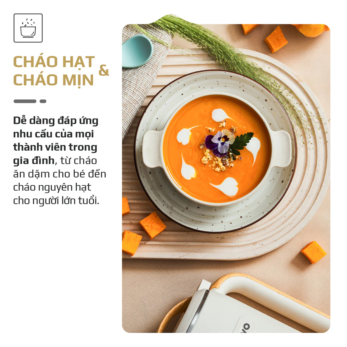 Máy Xay Nấu Đa Năng OLIVO CB400 PRO