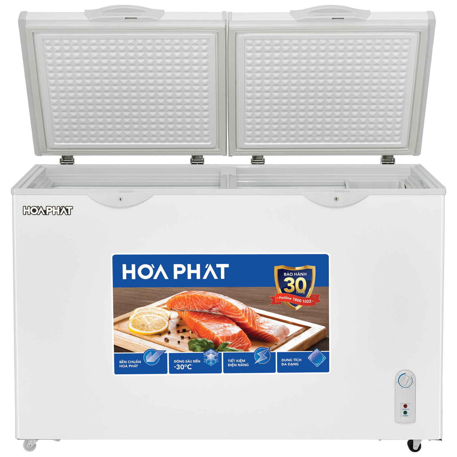 Tủ Đông Hoà Phát 252 Lít HPF AN6252