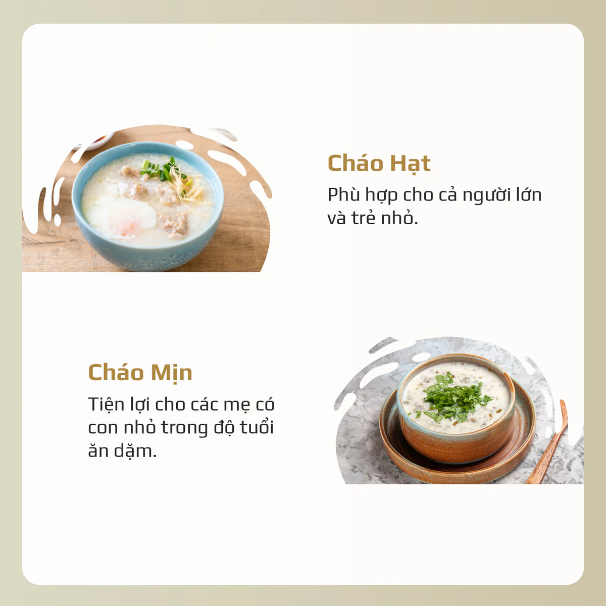Máy Xay Nấu Đa Năng OLIVO X24 PRO