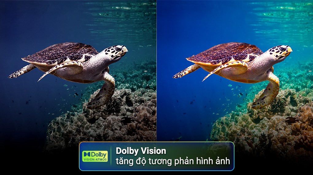 Smart Tivi Toshiba AI 4K 65 inch 65C350RP