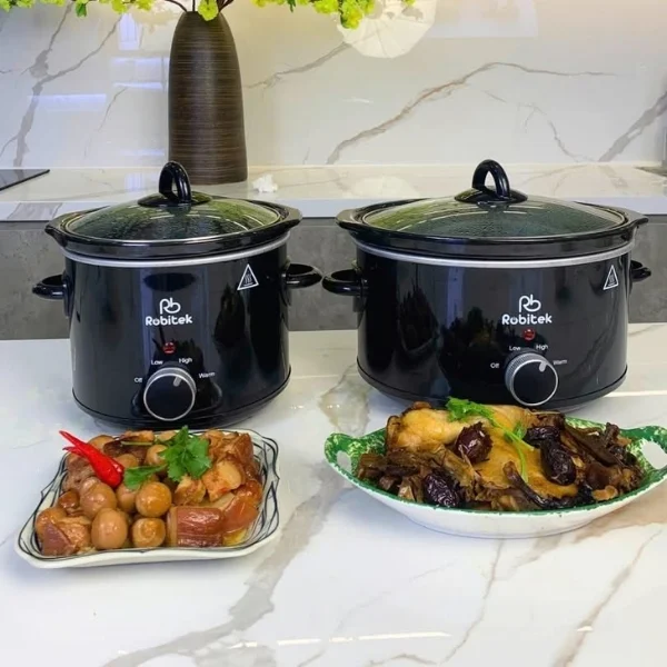Nồi nấu chậm ROBITEK RB3000