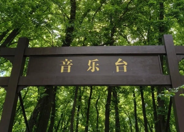 Cảnh quan xung quanh Âm Nhạc Đài Nam Kinh