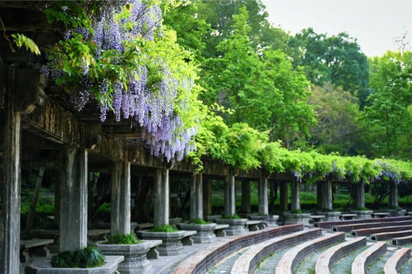 Cảnh đẹp Âm Nhạc Đài Nam Kinh