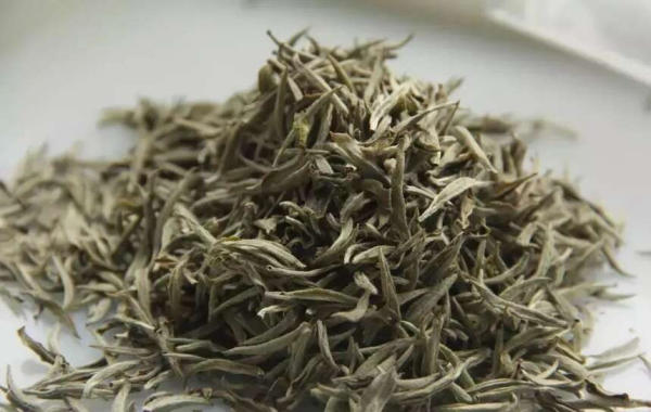 Trà Bạch Mao Nam Sơn, Nam Ninh