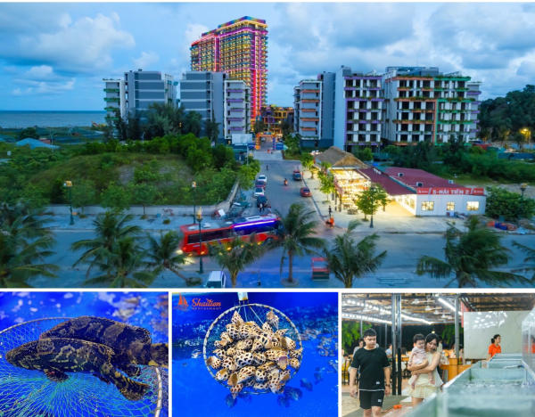 ăn uống ở flamingo hải tiến