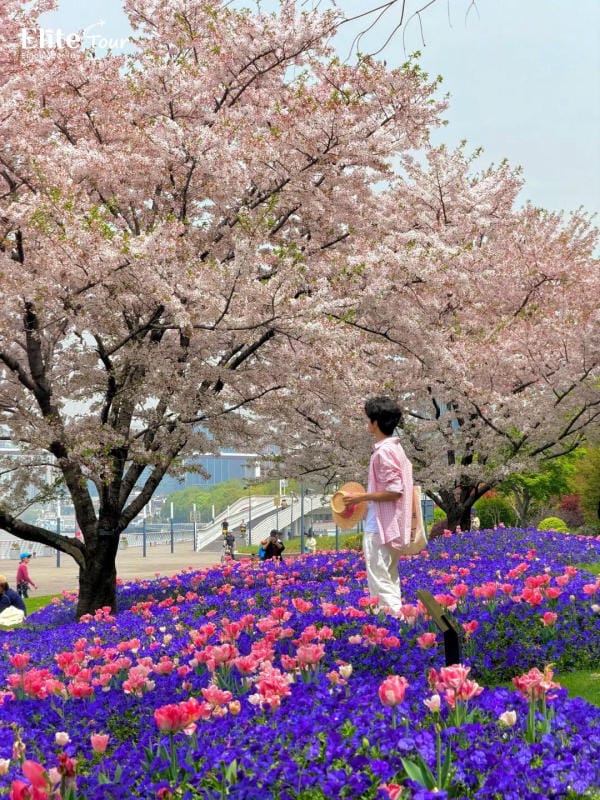 Thời tiết mùa xuân Thượng Hải