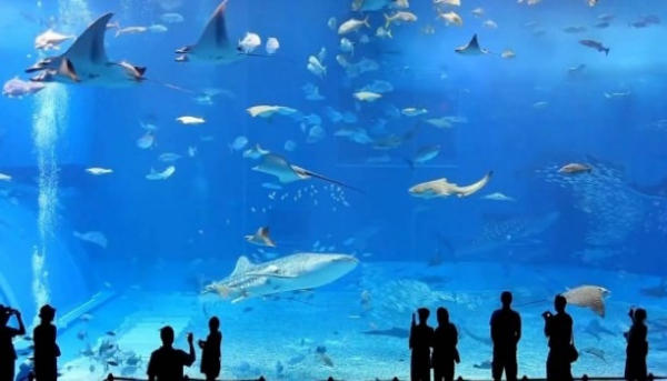 Địa điểm du lịch nổi tiếng trên đảo Jeju 08 Địa điểm du lịch nổi tiếng trên đảo Jeju 08