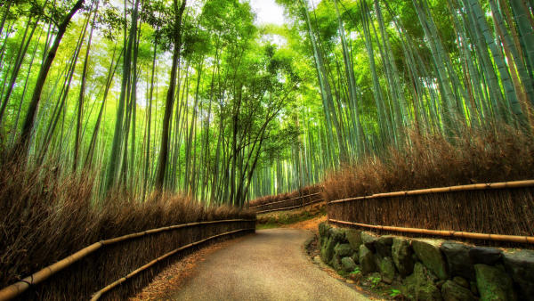 Địa điểm du lịch đẹp ở Kyoto 16 Địa điểm du lịch đẹp ở Kyoto 16