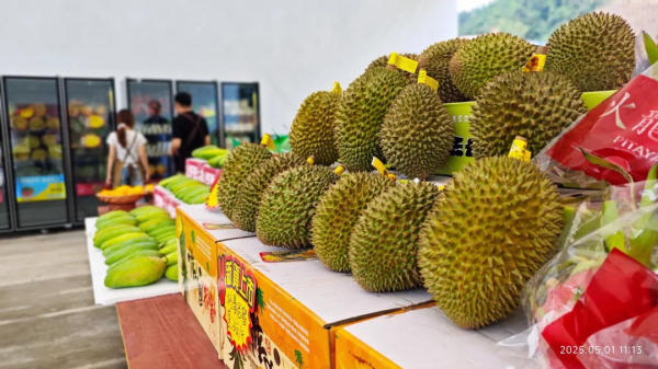 du lịch Bằng Tường