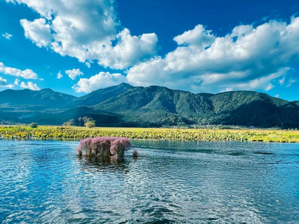 Bắc Hải Wetland Đằng Xung
