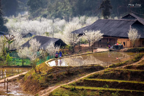 Tour du lịch liên tuyến Tây Bắc 01 Tour du lịch liên tuyến Tây Bắc 01