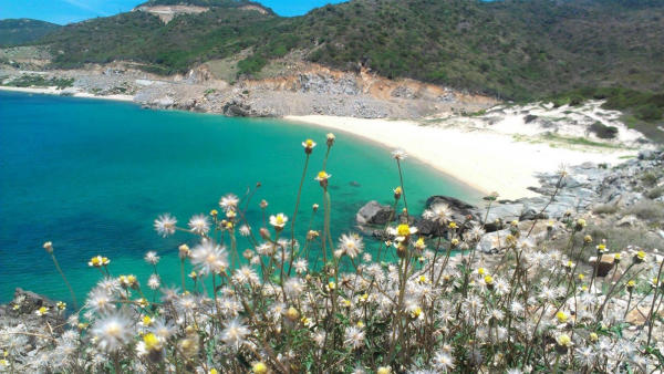 Bãi Chà Là Ninh Thuận Bãi Chà Là Ninh Thuận