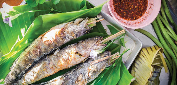 Kinh nghiệm du lịch miền Tây 15 Kinh nghiệm du lịch miền Tây 15