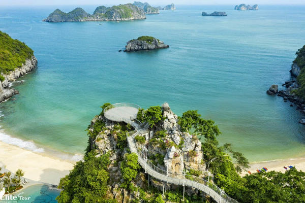 cách di chuyển đi flamingo cát bà