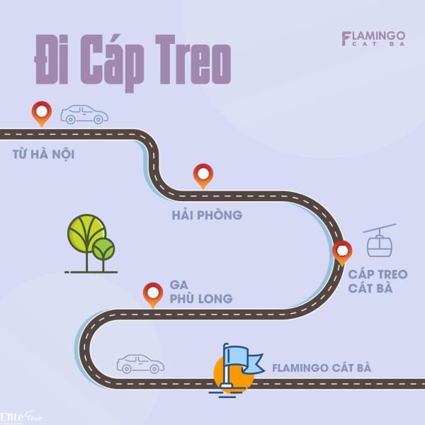 cách đi đến flamingo cát bà