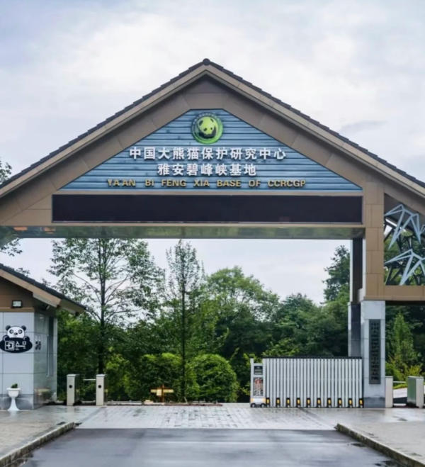 Trung tâm bảo tồn gấu trúc Bích Phong Hiệp