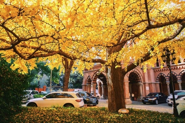 Thượng Hải mùa thu