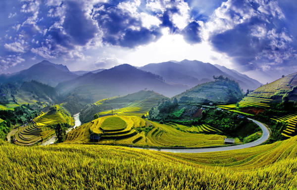 Cảnh đẹp Mù cang chải mùa lúa chín Cảnh đẹp Mù cang chải mùa lúa chín