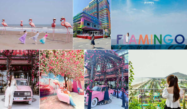 Flamingo Hải Tiến có gì? Flamingo Hải Tiến có gì?