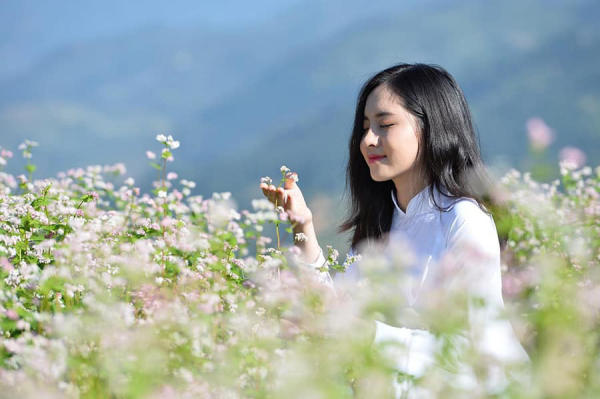 Checkin hoa tam giác mạch Hà Giang Checkin hoa tam giác mạch Hà Giang
