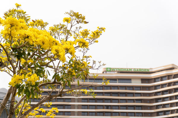 Wyndham Garden Sonasea Vân Đồn
