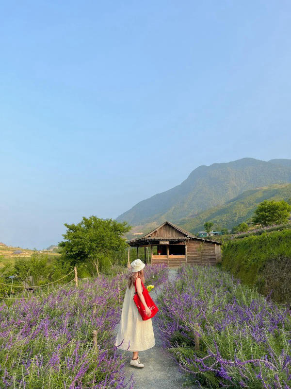 Các tour du lịch Sapa phổ biến