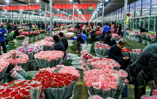Chợ hoa Đấu Nam Côn Minh Chợ hoa Đấu Nam Côn Minh