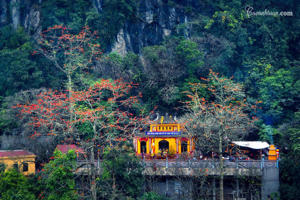 Chùa Hương Hà Nội 01 Chùa Hương Hà Nội 01