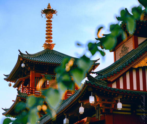 Tu Viện An Khánh - Check in Sài Gòn Tu Viện An Khánh - Check in Sài Gòn
