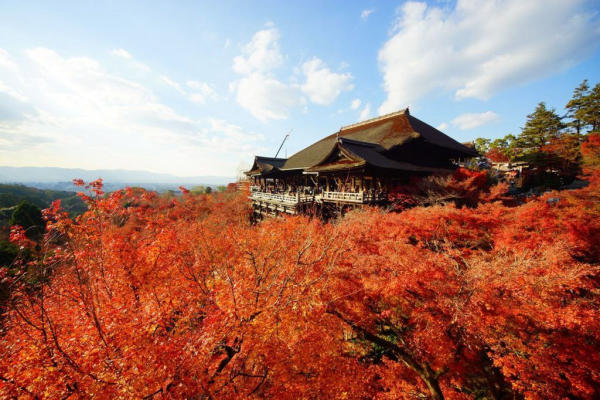 Địa điểm du lịch đẹp ở Kyoto Địa điểm du lịch đẹp ở Kyoto