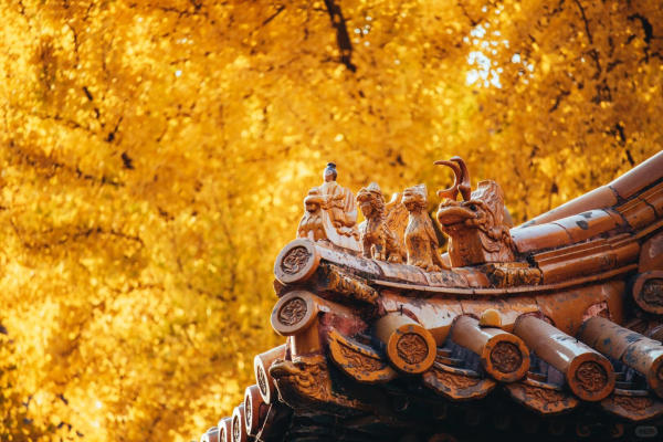 Tour Bắc Kinh mùa thu