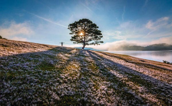 Đà Lạt đẹp bốn mùa hoa 32