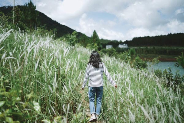 Đà Lạt đẹp bốn mùa hoa 18