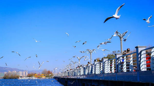Lịch trình du lịch Côn Minh, Trung Quốc
