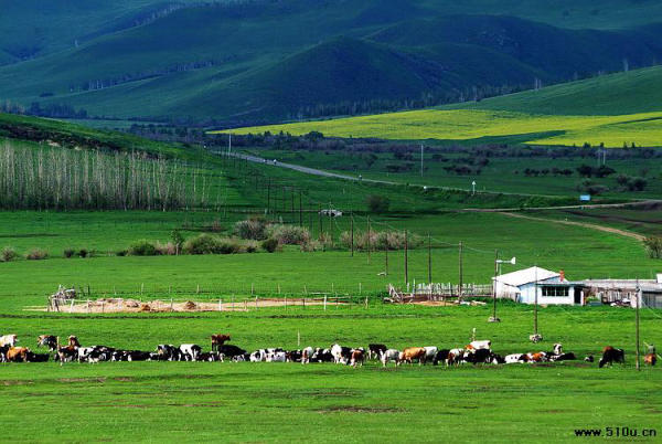 Địa điểm du lịch nổi tiếng Nội Mông, Trung Quốc