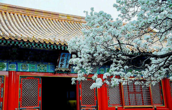 Tử Cấm Thành 03 Tử Cấm Thành 03