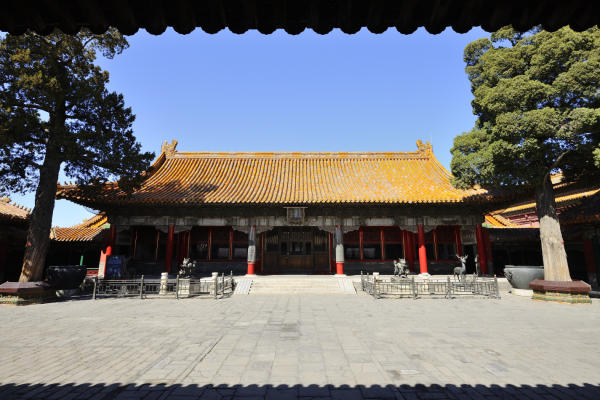 Ảnh Tử Cấm Thành Ảnh Tử Cấm Thành