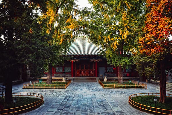 Gia Lạc Đường - Cung Vương Phủ