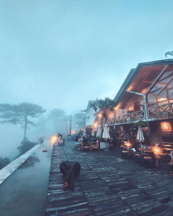 Tiệm cafe Dalat Mountain View 01 Tiệm cafe Dalat Mountain View 01