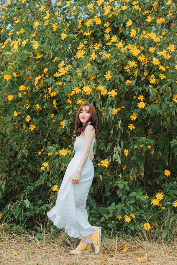 Đà Lạt đẹp bốn mùa hoa 24