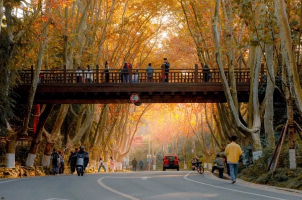 cầu treo đại lộ Nam Kinh