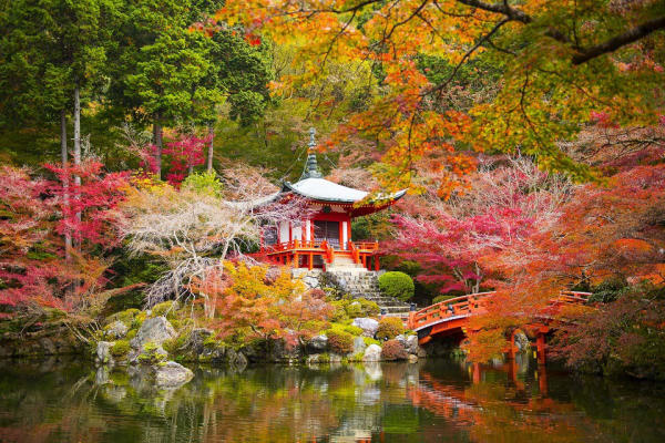 Địa điểm du lịch đẹp ở Kyoto 10 Địa điểm du lịch đẹp ở Kyoto 10