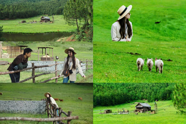 Cảnh đẹp Đại Lý trong phim Đi đến nơi có gió Cảnh đẹp Đại Lý trong phim Đi đến nơi có gió