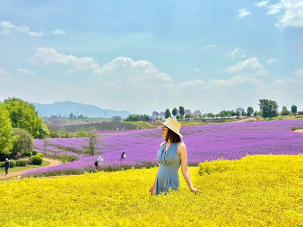 Tour Trung Quốc giá rẻ Tour Trung Quốc giá rẻ