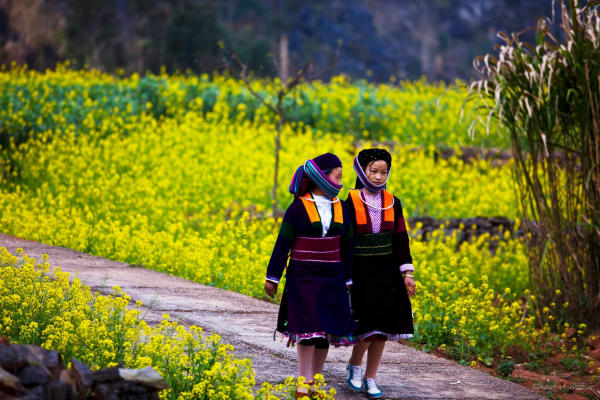 Địa điểm du lịch tại Lô Lô Chải Địa điểm du lịch tại Lô Lô Chải